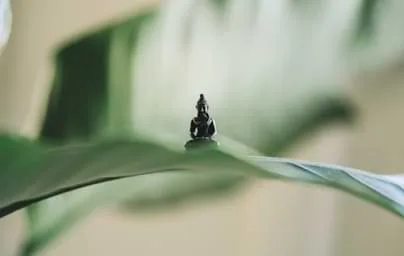 精选热门游戏，深度解析 - 九游2